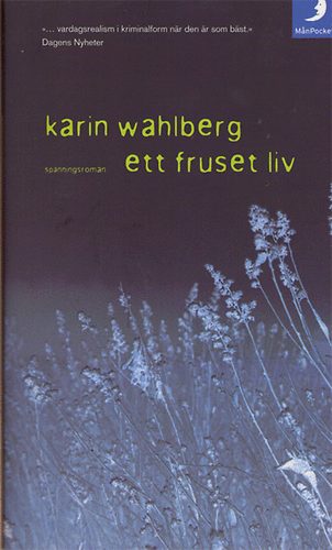 Karin Wahlberg - Ett fruset liv (spanningsroman)