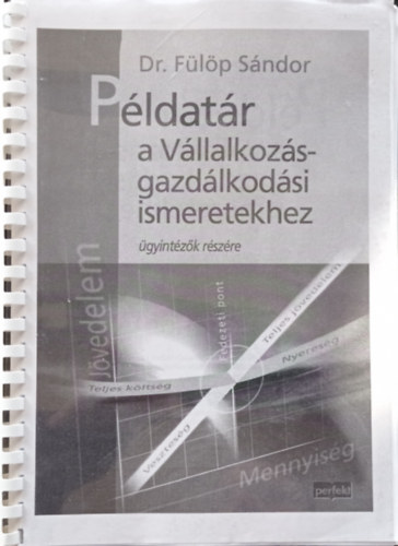 Dr. Fülöp Sándor - Példatár a vállalkozás-gazdálkodási ismeretekhez - Ügyintézők részére