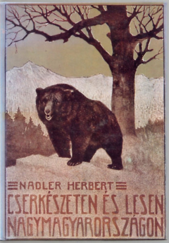 Nadler Herbert - Cserkszeten s lesen Nagymagyarorszgon