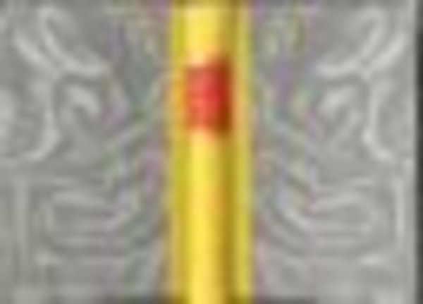 Howard Spring - Geliebte S�hne