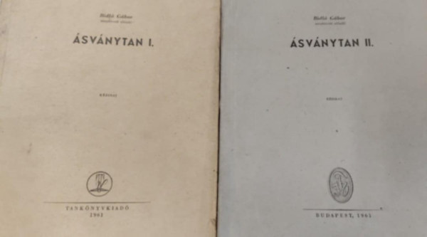 svnytan I-II. kzirat