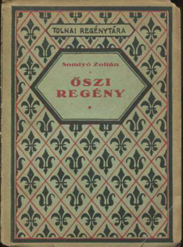 Somlyó Zoltán - Őszi regény