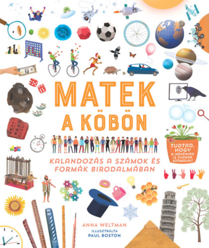 Anna Weltman - Matek a kbn