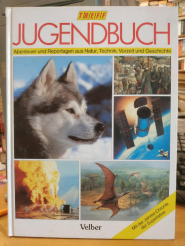 Treff: Jugendbuch '93 - Abenteuer und Reportagen aus Natur, Technik, Vorzeit und Geschichte
