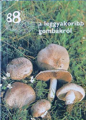 Dr. Rim�czi Imre - A leggyakoribb gomb�kr�l