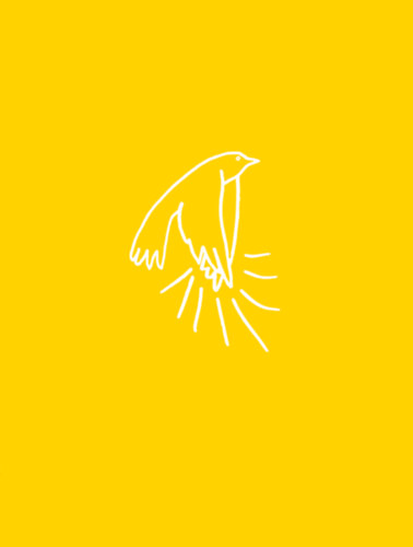 Kristf Krisztin, Zalavri Andrs Fusz Mtys - A madarak tapsolnak, amikor felszllnak