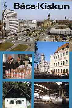 Gera S�ndor - B�cs-Kiskun (Magyarorsz�g megy�i)