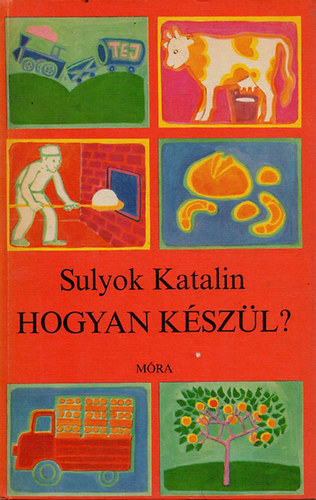 Sulyok Katalin - Hogyan kszl?