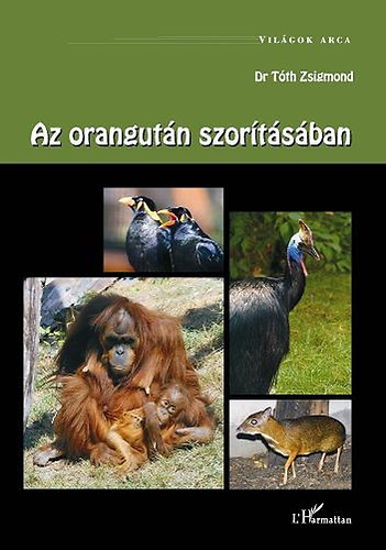 Dr. Tth Zsigmond - Az orangutn szortsban