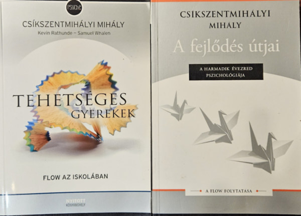 Csíkszentmihályi Mihály - Tehetséges gyerekek: Flow az iskolában + A fejlődés útjai: A Flow folytatása (2 kötet)