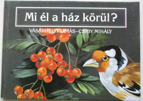 Vsrhelyi-Csiby - Mi l a hz krl?
