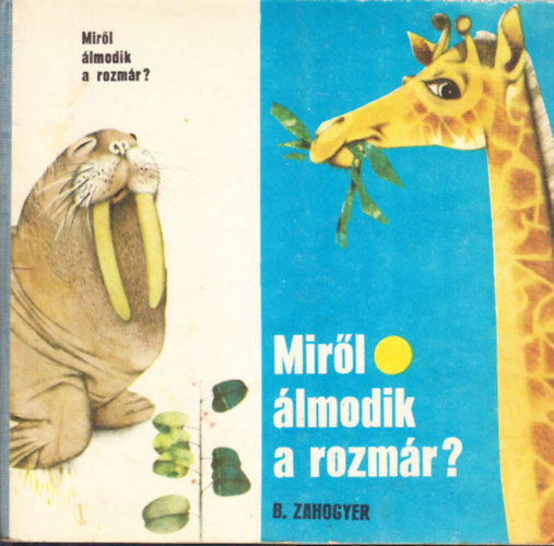 B. Zahogyer - Mir�l �lmodik a rozm�r?
