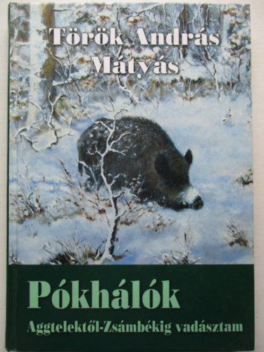 Török András Mátyás - Pókhálók