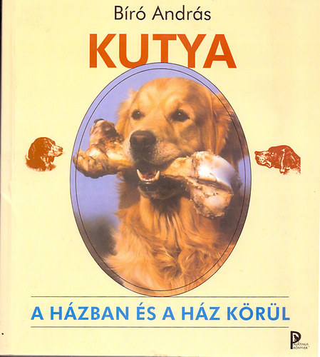 B�r� Andr�s - Kutya a h�zban �s a h�z k�r�l