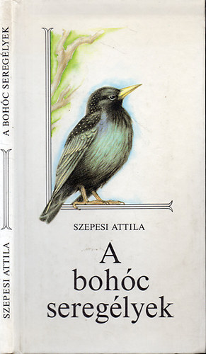 Szepesi Attila - A boh�c sereg�lyek