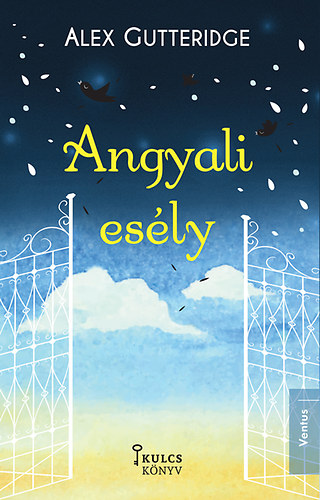 Alex Gutteridge - Angyali esély