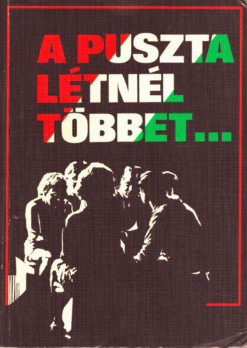 Csia Lajos - A puszta l�tn�l t�bbet... - Az �j Testamentum