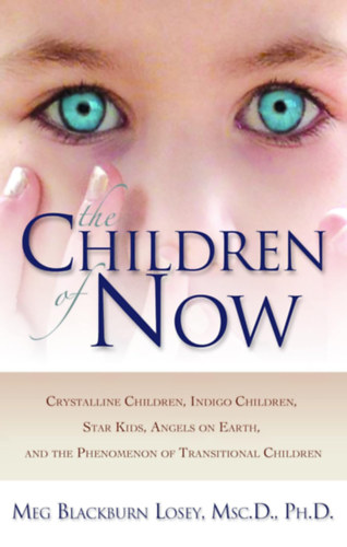 Meg Blackburn Losey - The Children of Now (New Page Books)