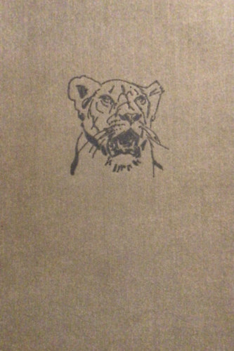 Kittenberger Kálmán - Kelet-Afrika vadonjaiban (A szerző eredeti felvételeivel)