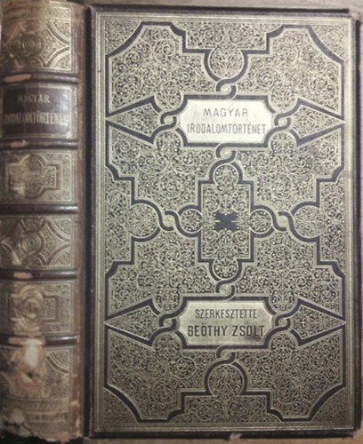 Be�thy Zsolt-Badics Ferenc  (szerk.) - K�pes magyar irodalomt�rt�net - A magyar irodalom t�rt�nete I. k�tet