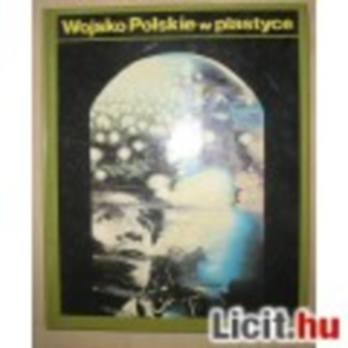 Stanislaw Ryszard Dobrowolski - Wojsko Polskie w plastyce