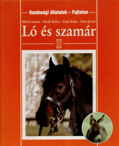 Mihk-Pataki-Ernst-Ernst - L s szamr