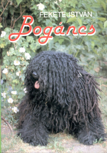 Fekete Istvn - Bogncs