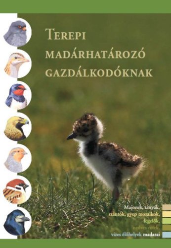Lrnt Mikls, Marticsek Jzsef, Nagy Dnes Krll Attila - Terepi madrhatroz gazdlkodknak