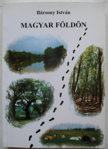 Brsony Istvn - Magyar fldn