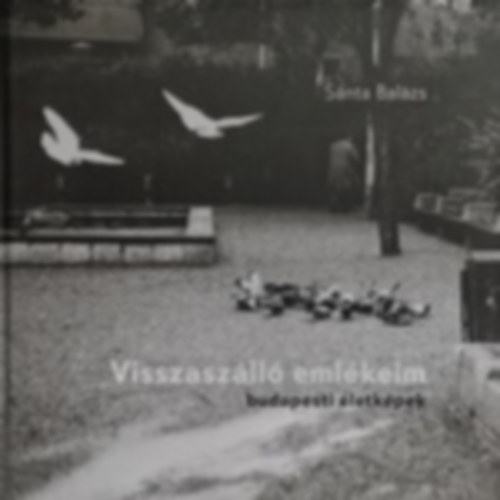 Snta Balzs - Visszaszll emlkeim budapesti letkpek