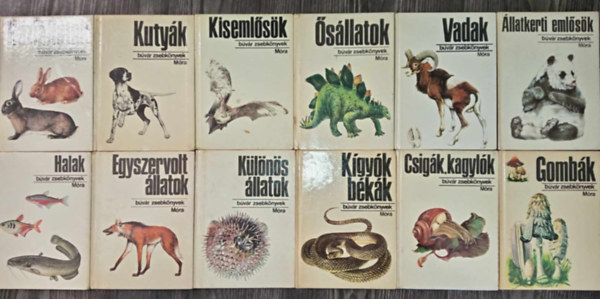 B�v�r Zsebk�nyvek - (12db) B�v�r zsebk�nyvek az �llatvil�gr�l: H�zi�llatok / �llatkerti eml�s�k / Csig�k, kagyl�k / K�gy�k, b�k�k / L�l�n�s �llatok / Egyszervolt �llatok / Halak / Vadak / �s�llatok / Kiseml�s�k / Kuty�k / Gomb�k