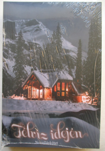 Télvíz idején (novelláskötet)