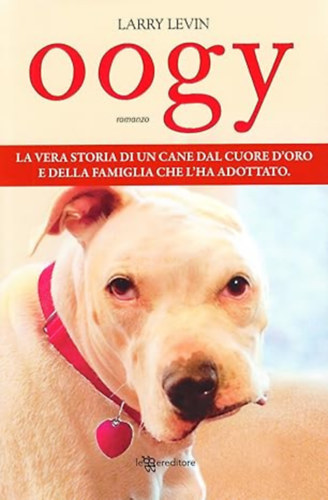 Levin Larry - OOGY