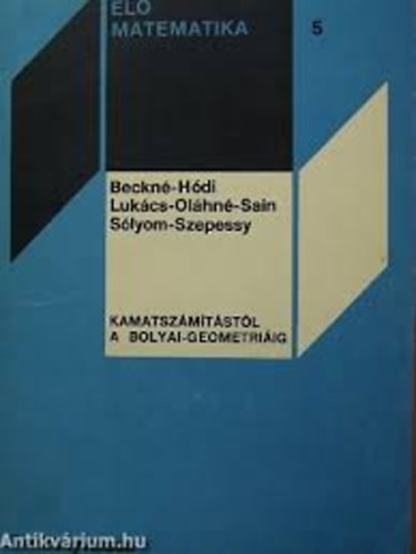 Beckn,Hdi,Lukcs,Olhn,Sain,Slyom,Szepessy - Kamatszmtstl a Bolyai-geometriig (l matematika 5)