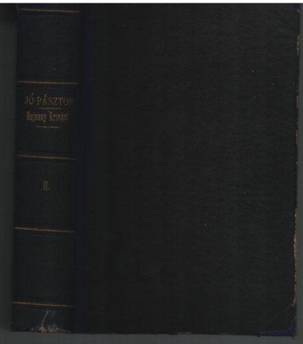 Haj�ssy Gy. Kriz�nt - J� p�sztor egyh�zsz�noklati foly�irat II. �vfolyam 1881/82 II. k�tet