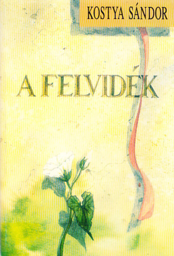Kostya S�ndor - A Felvid�k - T�rt�neti tanulm�ny