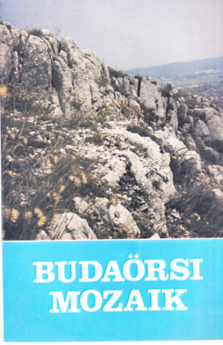 Luk�cs Andr�s  (Szerk.) - Buda�rsi mozaik