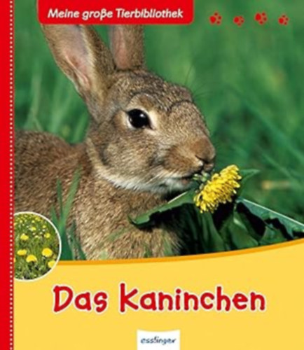Val�rie Tracqui - Meine gro�e Tierbibliothek: Das Kaninchen