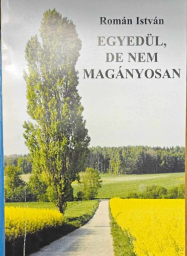 Román István - Egyedül, de nem magányosan