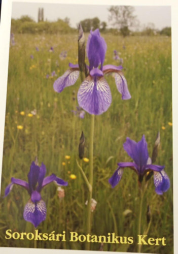 Soroks�ri Botanikus Kert