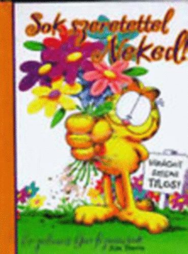 Jim Davis - Sok szeretettel Neked!