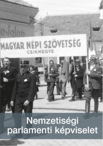 Nemzetisgi parlamenti kpviselet