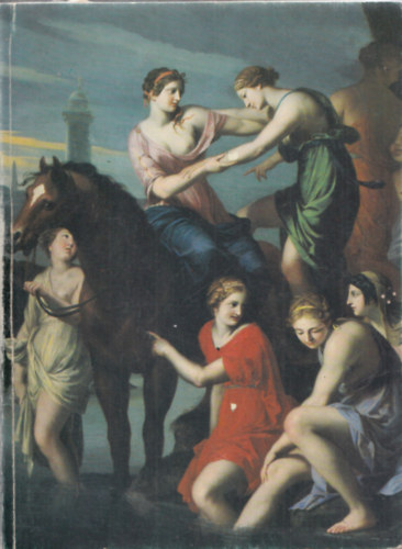 Sz�pm�v�szeti M�zeum - A francia fest�szet klasszikus sz�zada