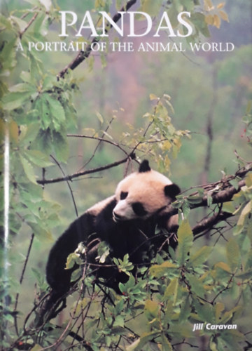 Jill Caravan - Pandas - A portrait of the animal world