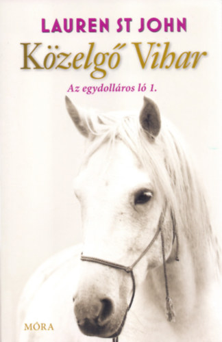 Lauren St John - Kzelg Vihar
