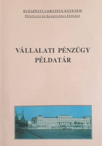 Fazakas Gergely - Vllalati pnzgy pldatr