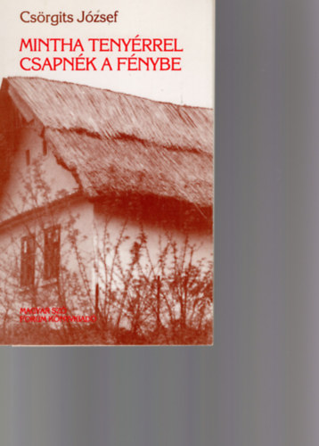 Cs�rgits J�zsef - Mintha teny�rrel csapn�k a f�nybe