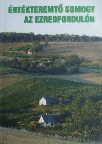 beln Kotnszky Gyngyi - rtkteremt Somogy az ezredforduln 1998-2002