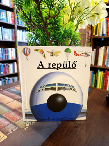 Gallimard Jeunesse Donald Grant - A rep�l� (Var�zslapok)