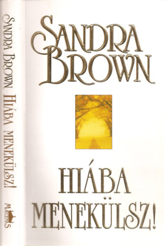 Sandra Brown - Hiba meneklsz!